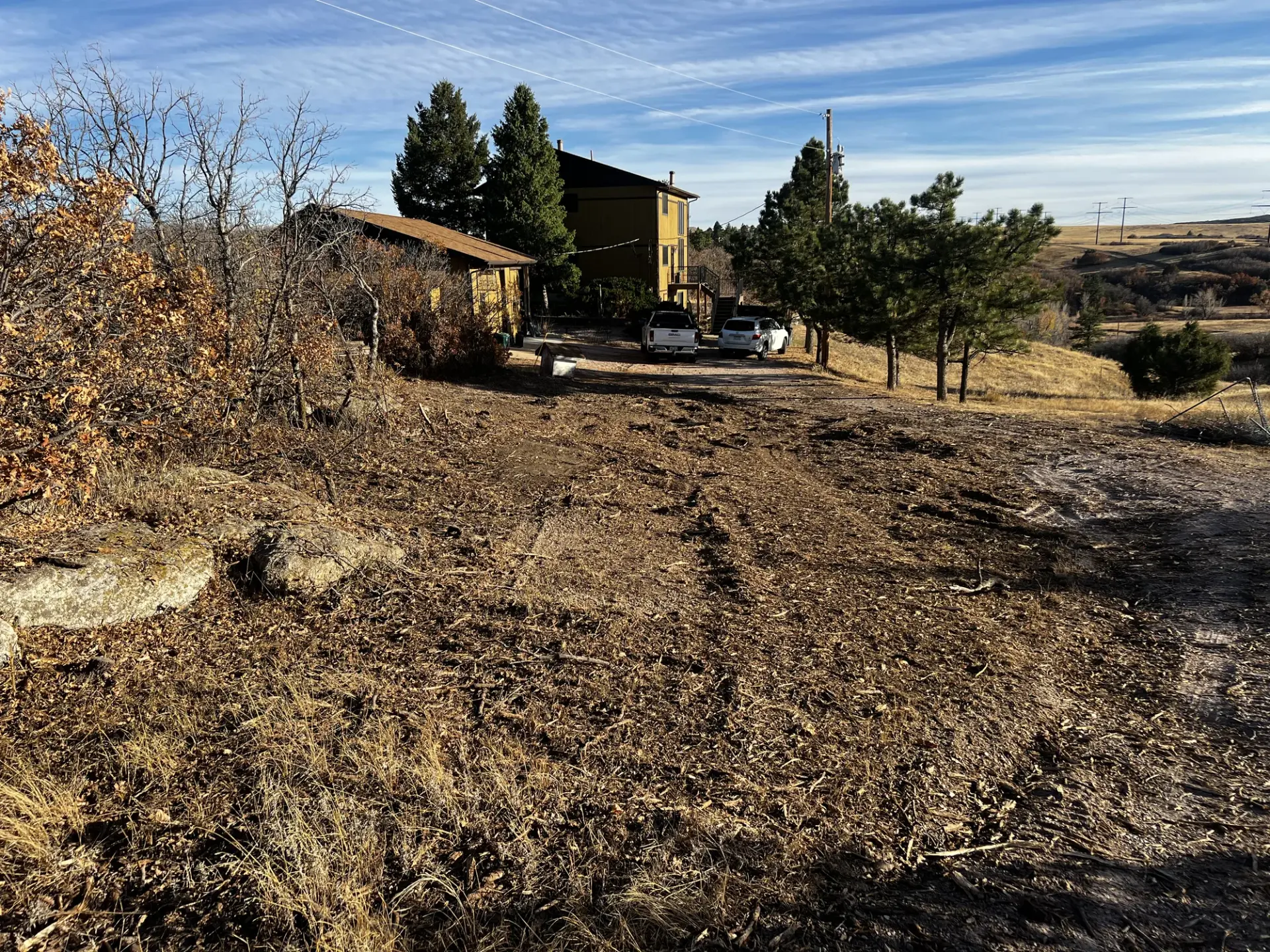 Tree Service